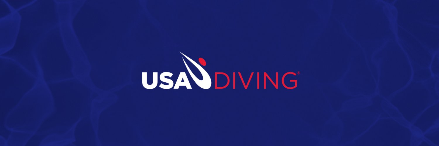 USA Diving banner