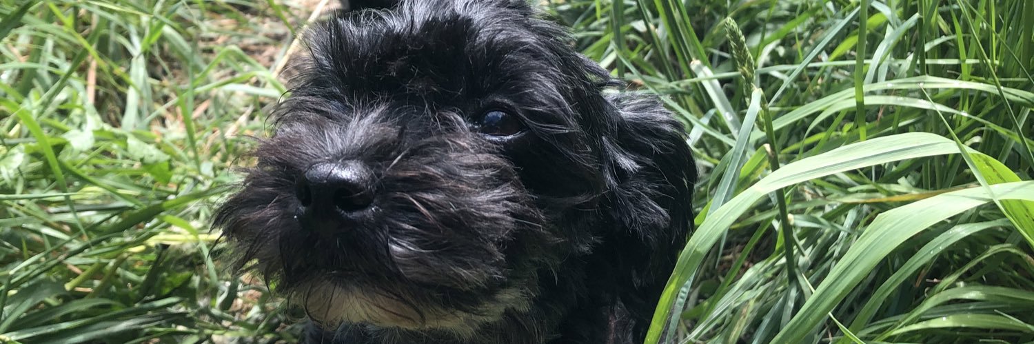 FletchGeorgina's profile banner image