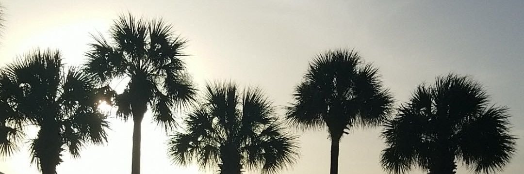 JessBecerra_'s profile banner image