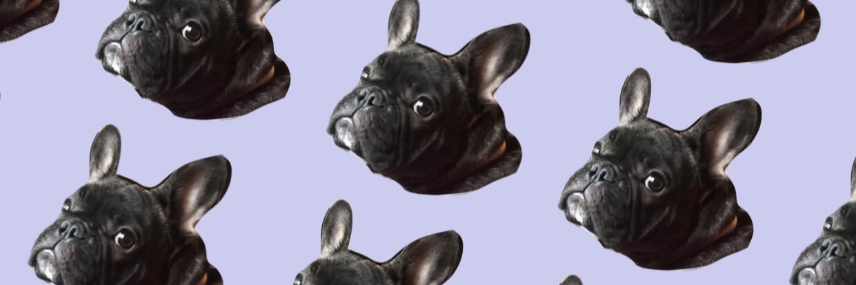 EmilyEmily39's profile banner image