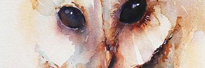 michellolivarez's profile banner image