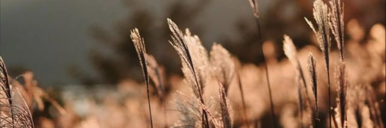 asmith096's profile banner image