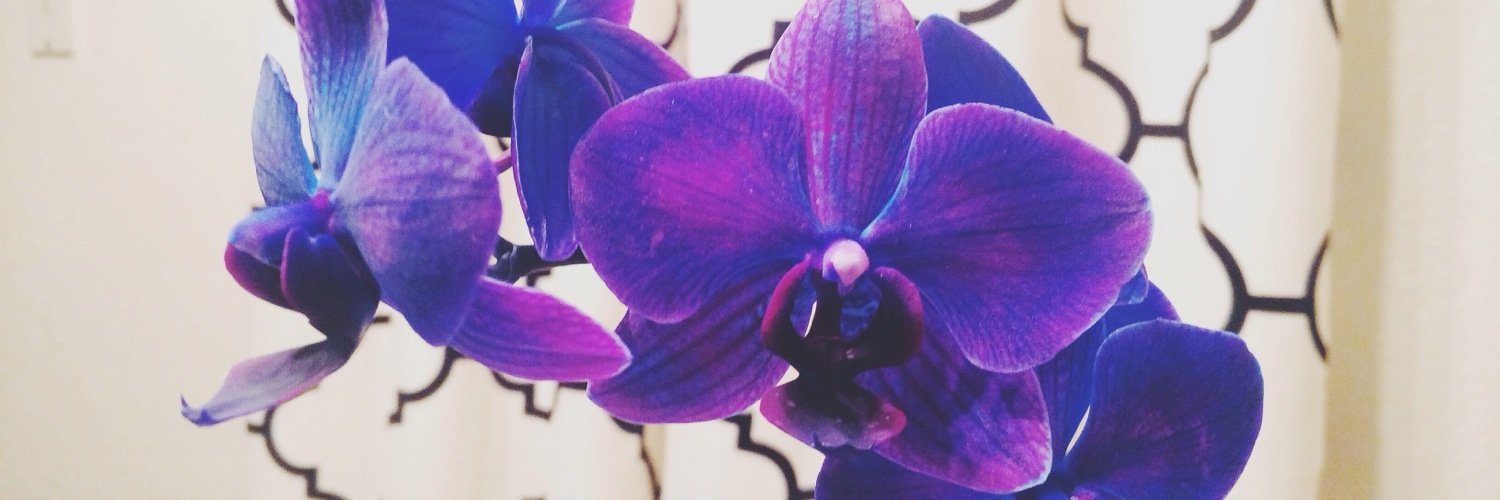 lydeeloo's profile banner image