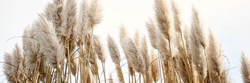 jacyiv's profile banner image
