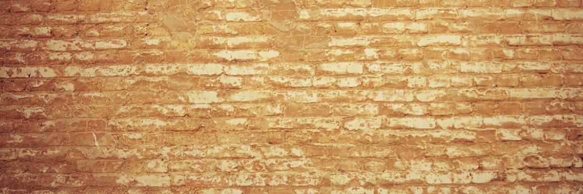 kalezeynep1's profile banner image