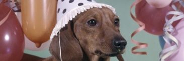 buttsdot_com's profile banner image