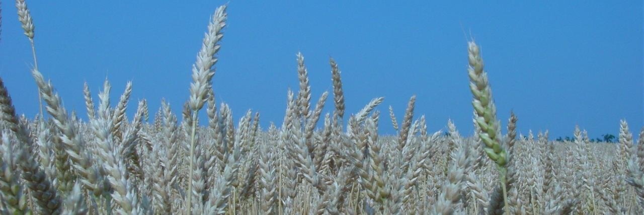 CMAResources's profile banner image