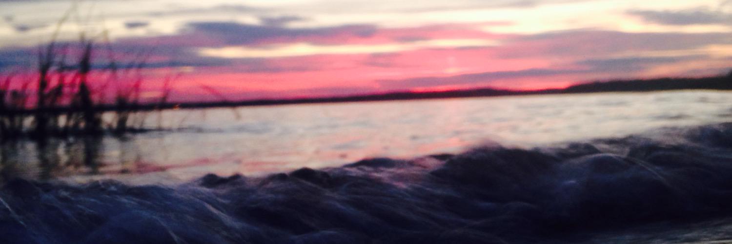 LMatari20's profile banner image