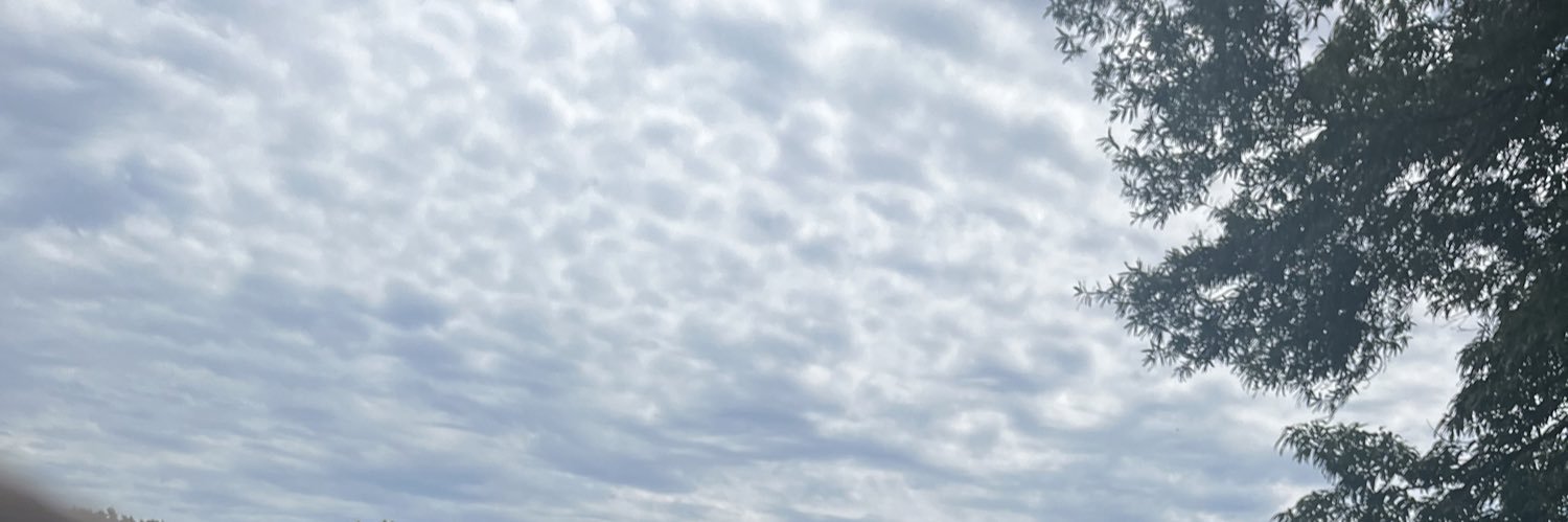 lextae327's profile banner image