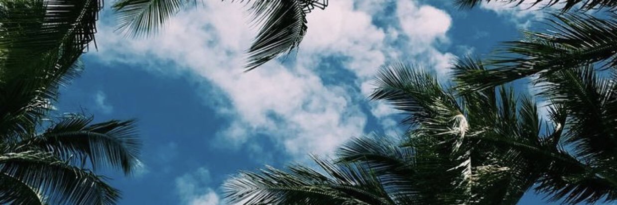 BrandonSiow_'s profile banner image