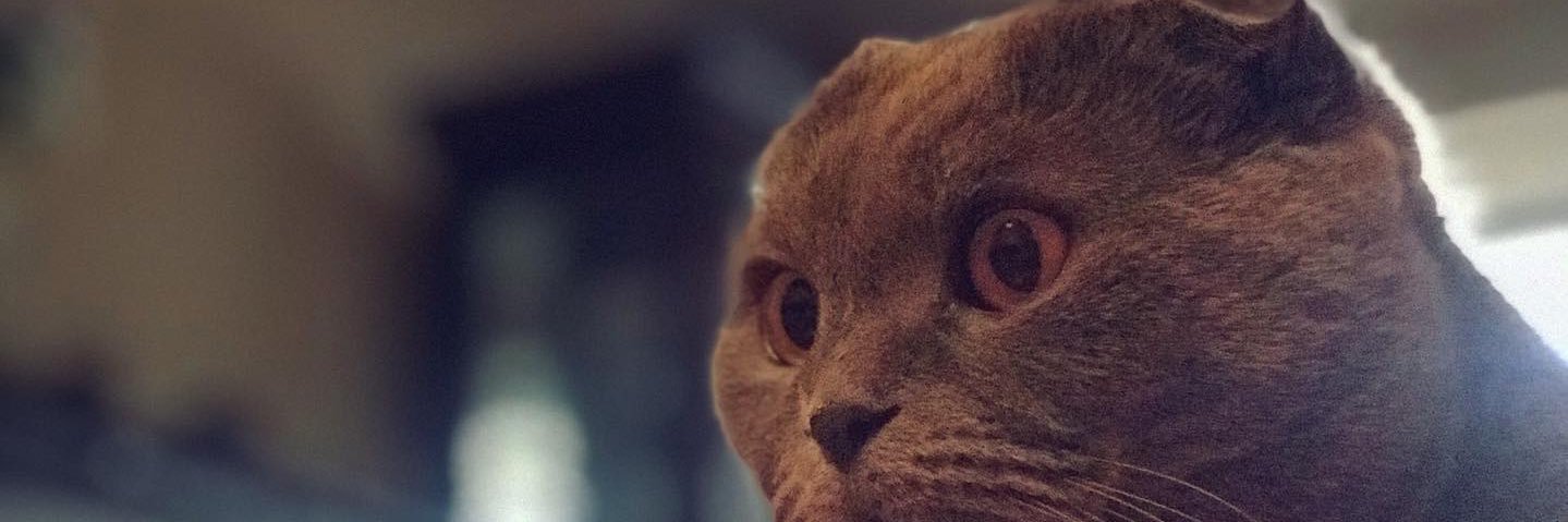 dirasbas's profile banner image