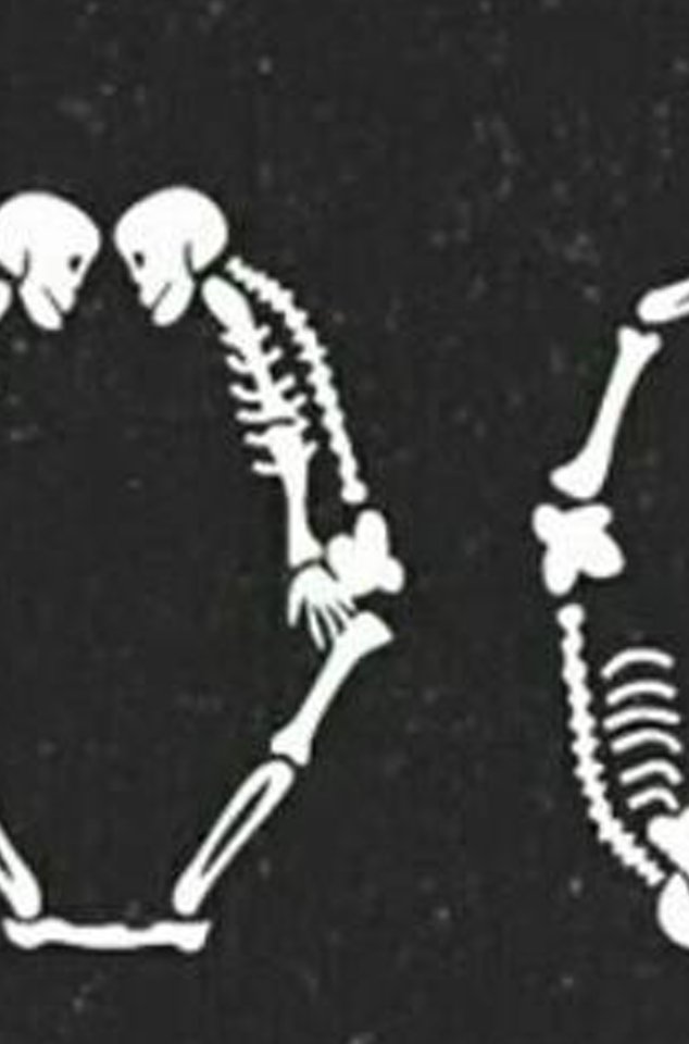 CetinaBethany's profile banner image