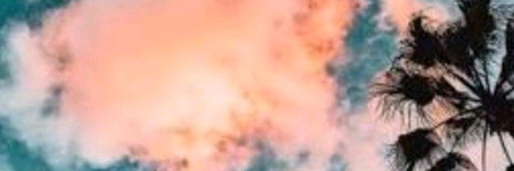 virigermanotta's profile banner image