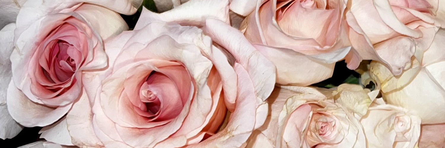 breannahkekic's profile banner image