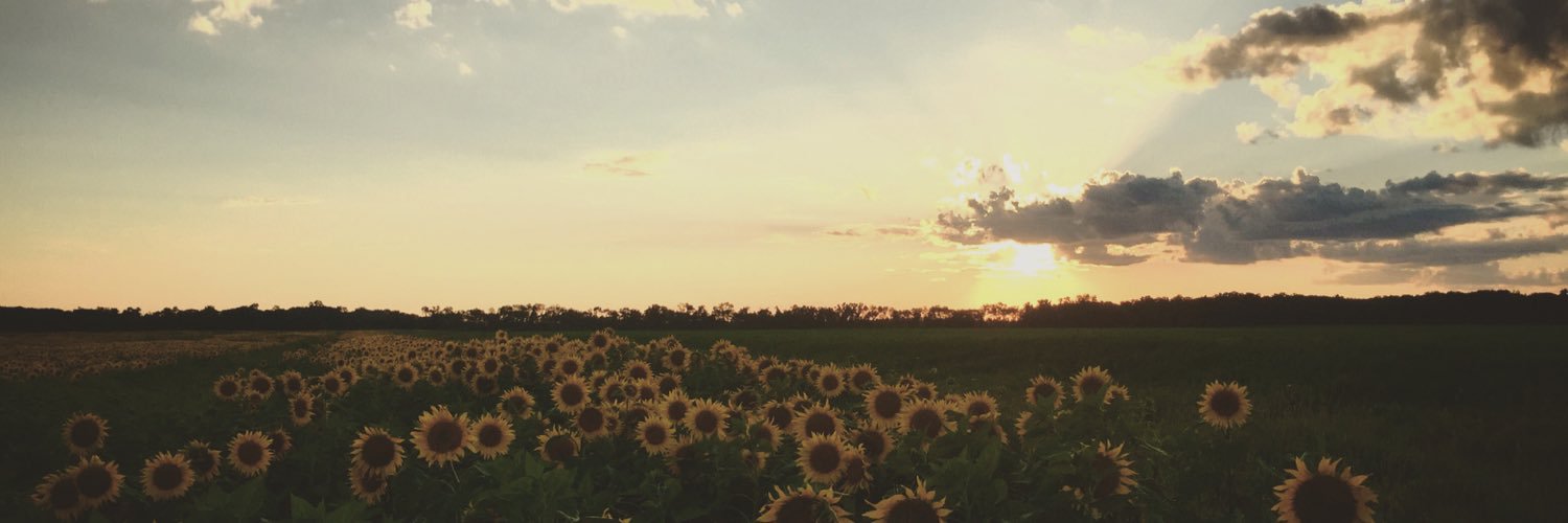 kyounggren8's profile banner image