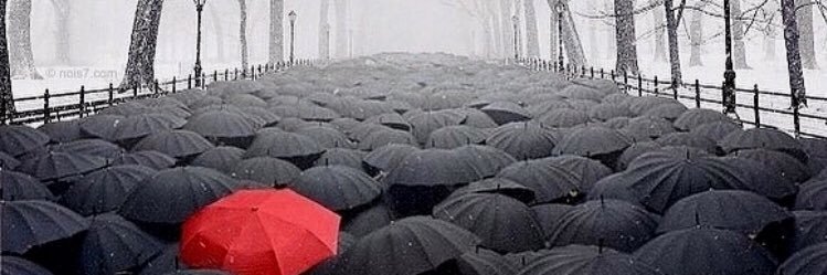 mnopium77's profile banner image