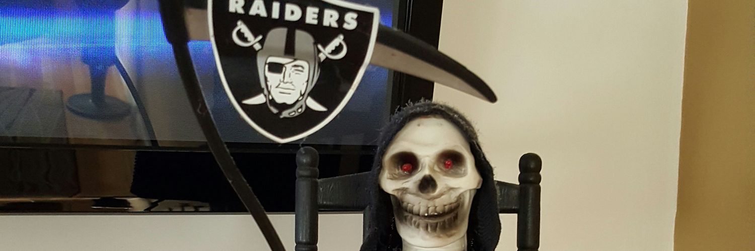 SkullyRaider's profile banner image