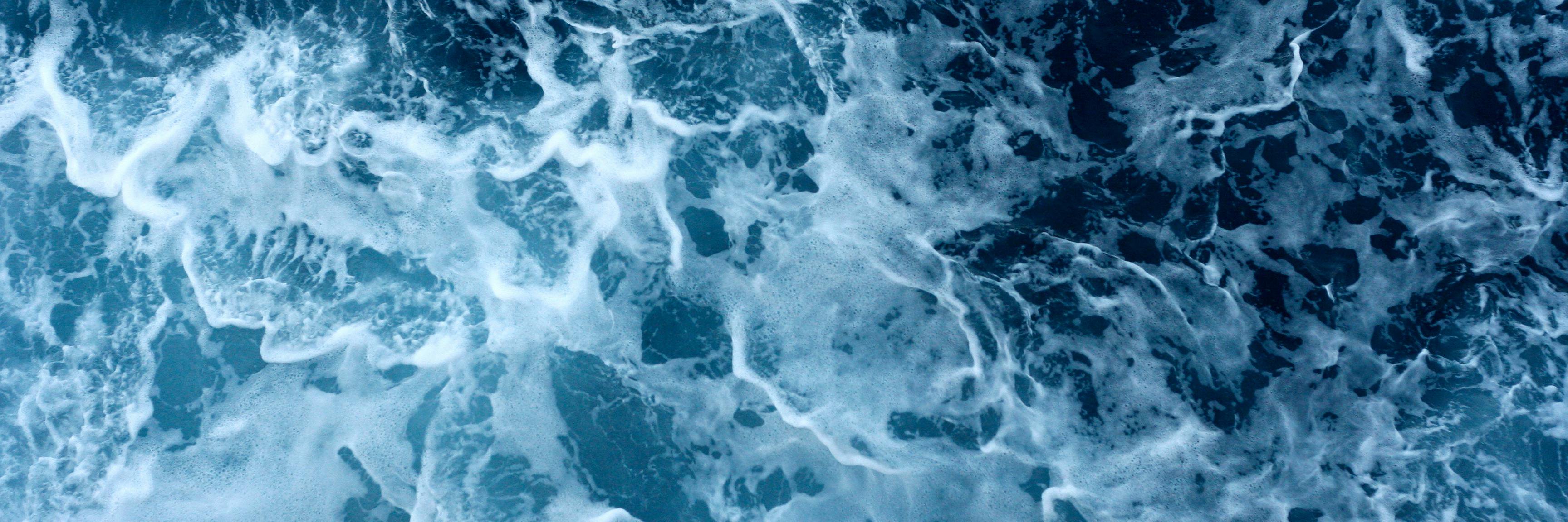 WildPacificPR's profile banner image