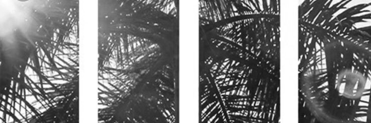 missK___'s profile banner image