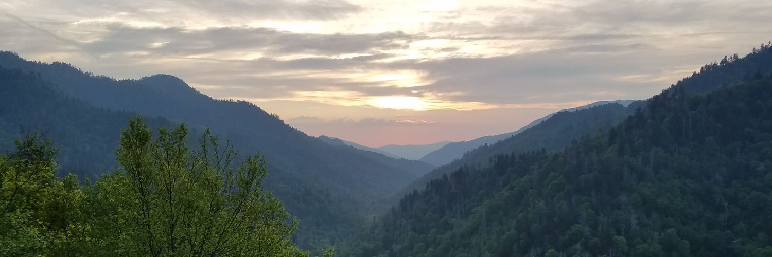 compooter's profile banner image