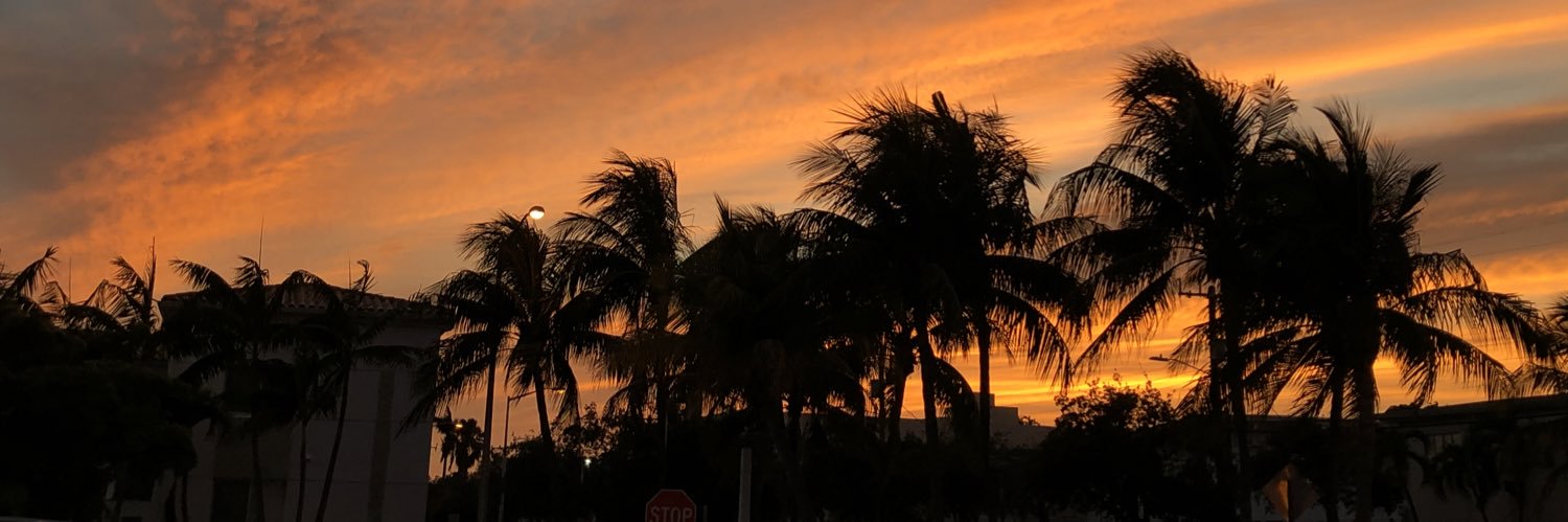 stephfalcon_'s profile banner image