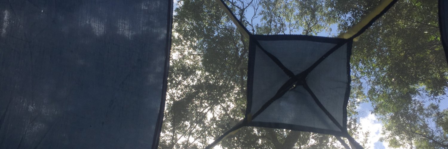 GabiRegner's profile banner image
