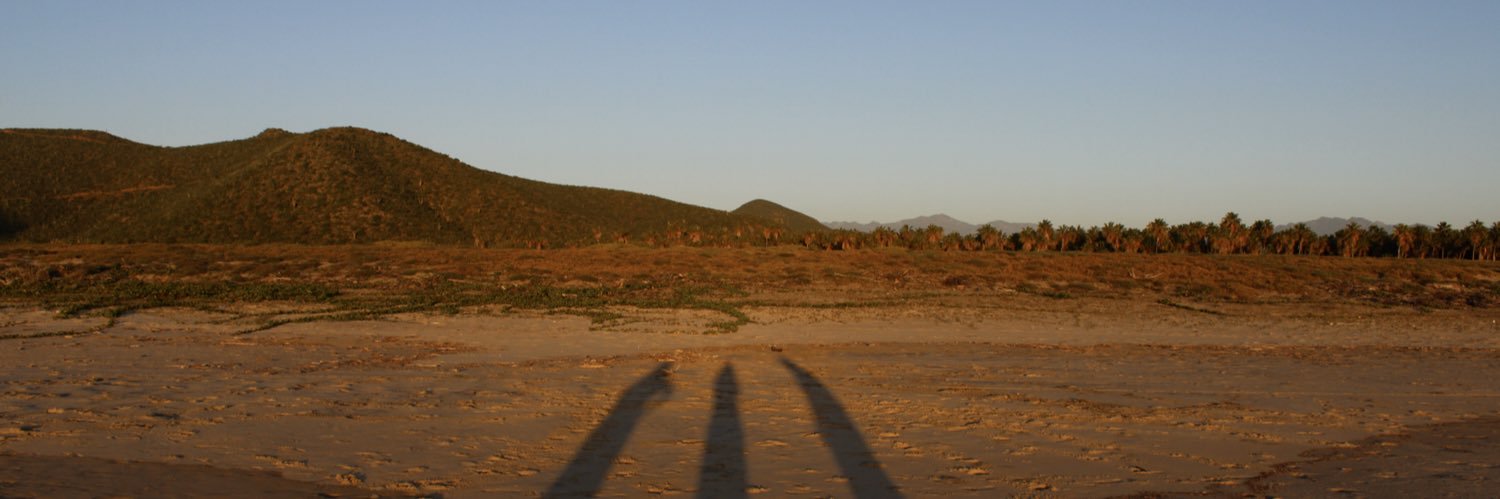 nicole_widmer's profile banner image