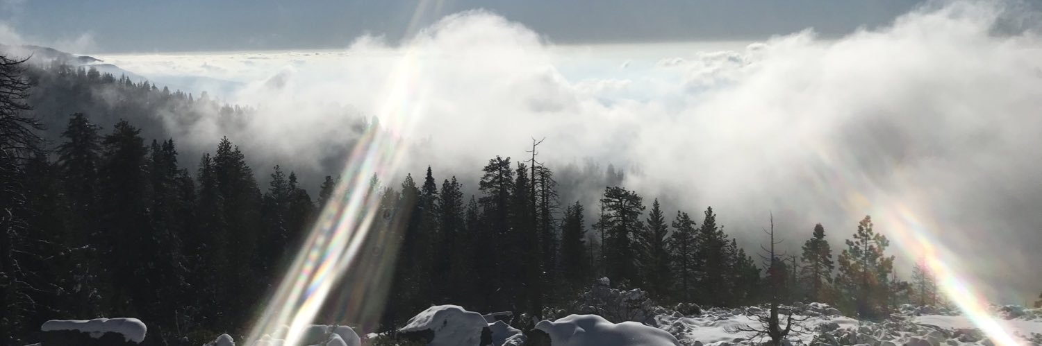 peterkalash's profile banner image
