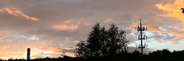 disksing Profile Banner