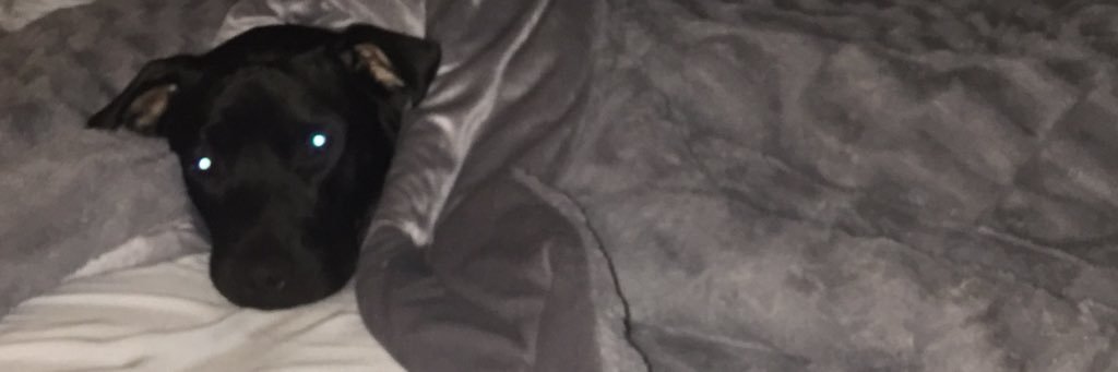 MissHbelle's profile banner image