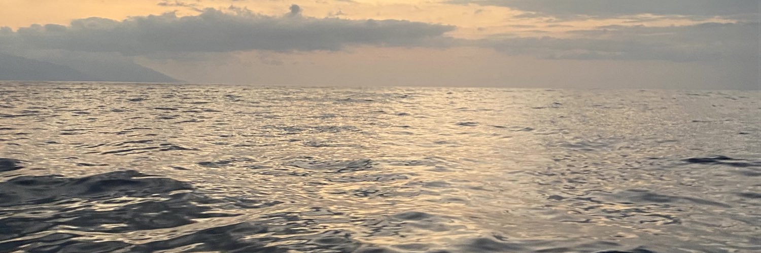 chanettiee's profile banner image