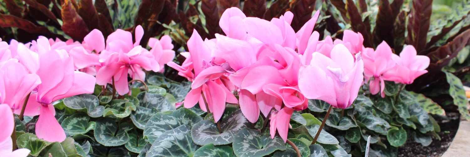 emem1407's profile banner image