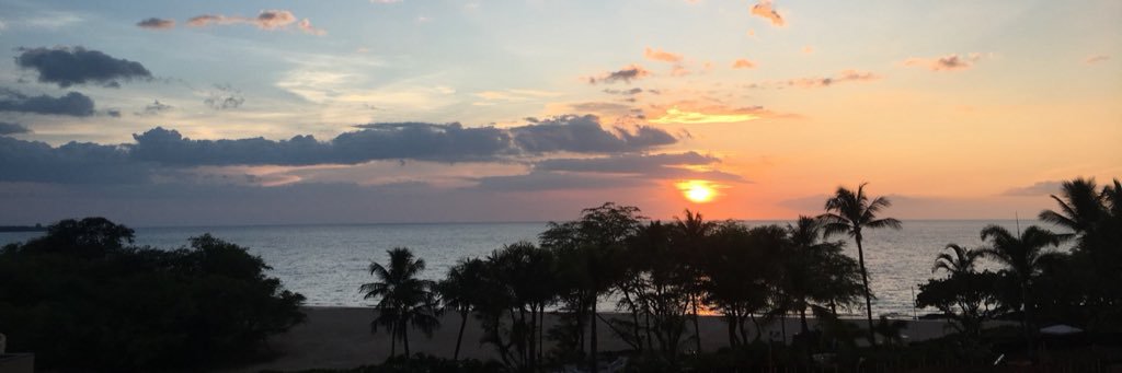samaurelio's profile banner image