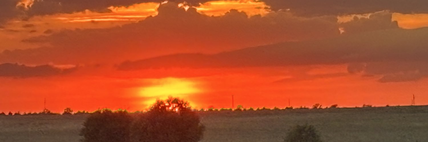 Swather Wrangler banner