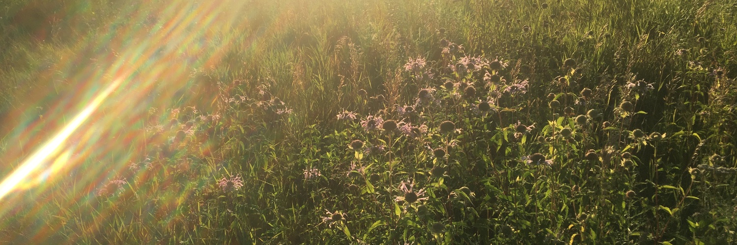 Maryshaw16's profile banner image