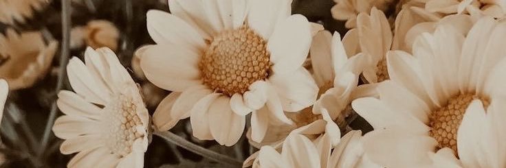 mandoofle's profile banner image