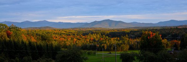 DemocracyDan Profile Banner