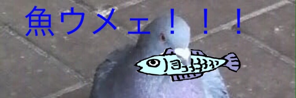aki_45645's profile banner image