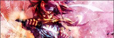 Joshua Gerard banner