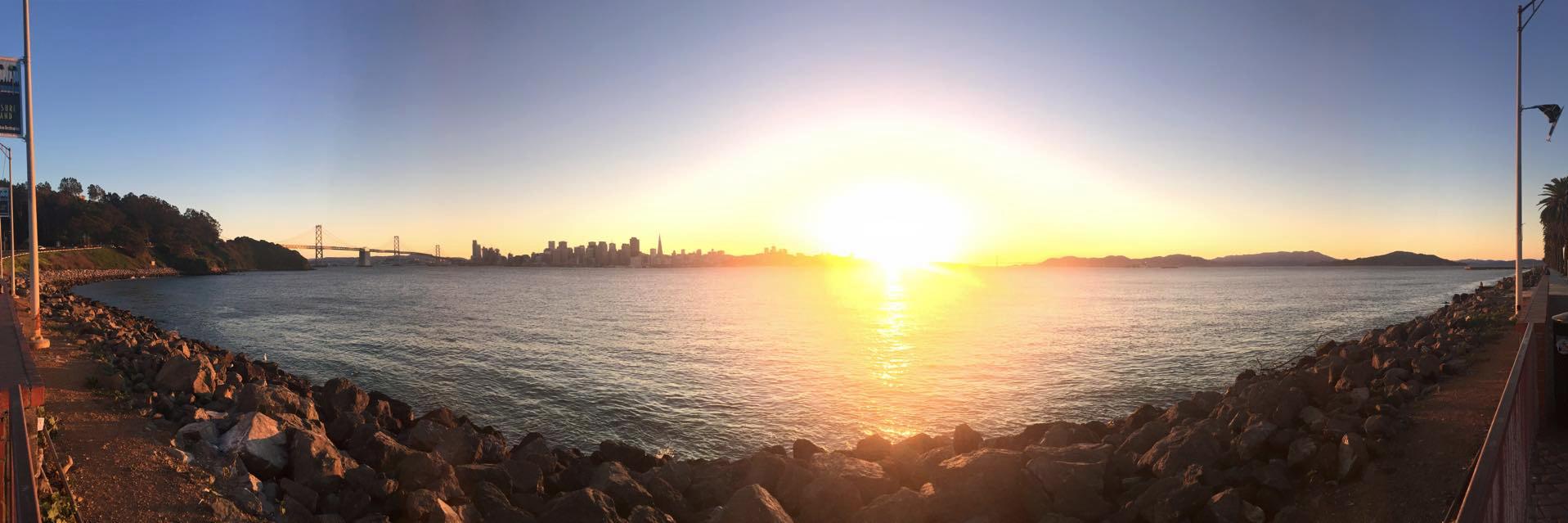 Robbie Trencheny banner