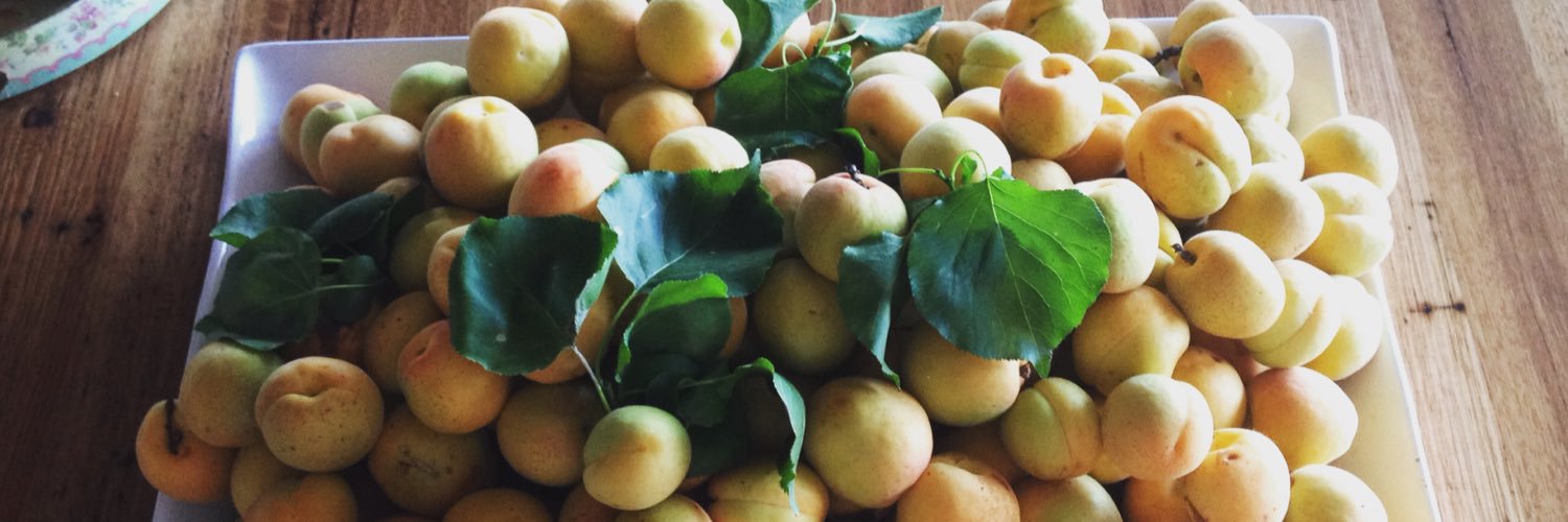 Jessica Rothwell banner