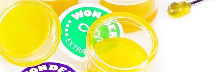 WonderExtracts's profile banner image