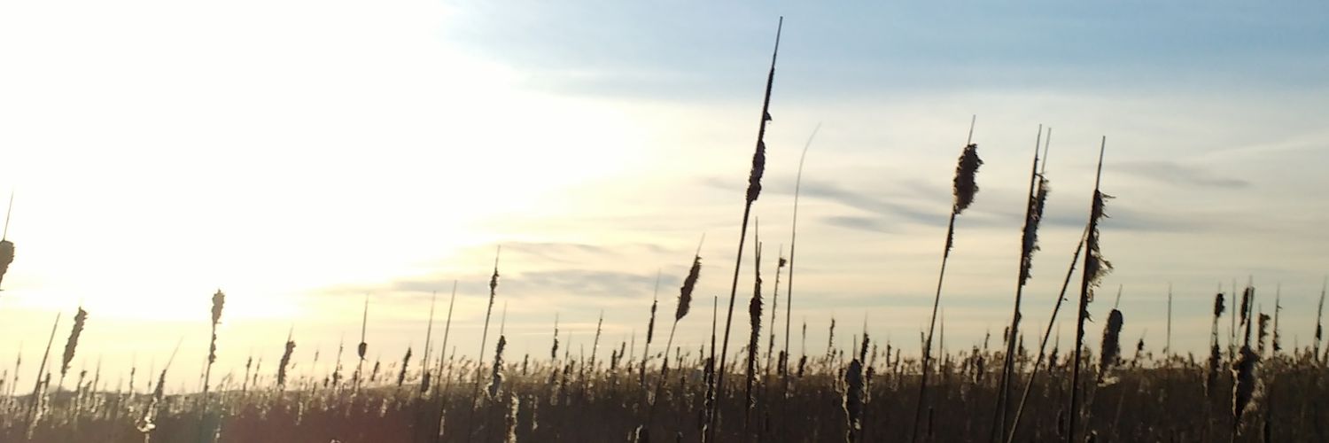 NDiggs22's profile banner image