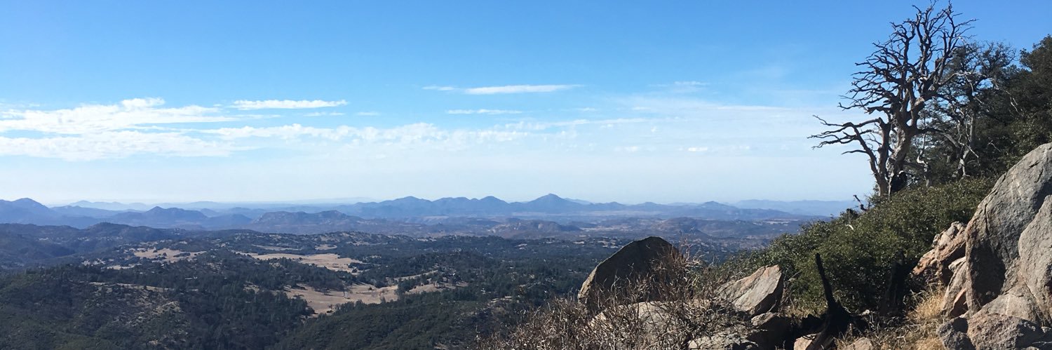 Matthew Werner banner