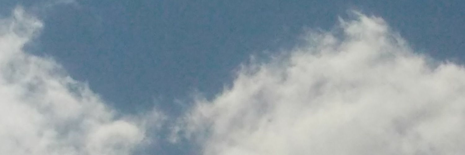 barraqinho's profile banner image