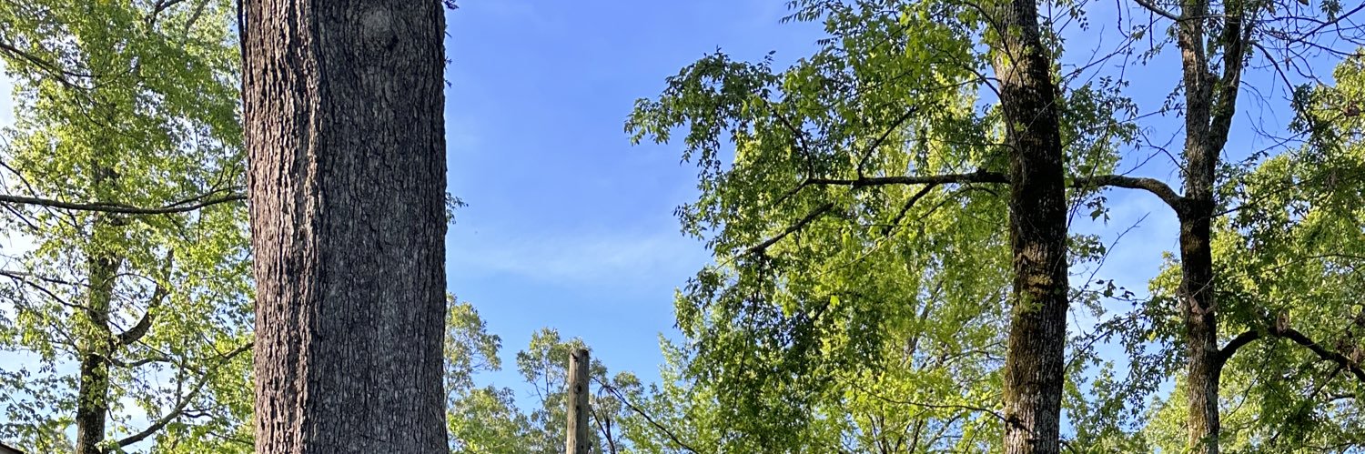 Smitty use to be here banner