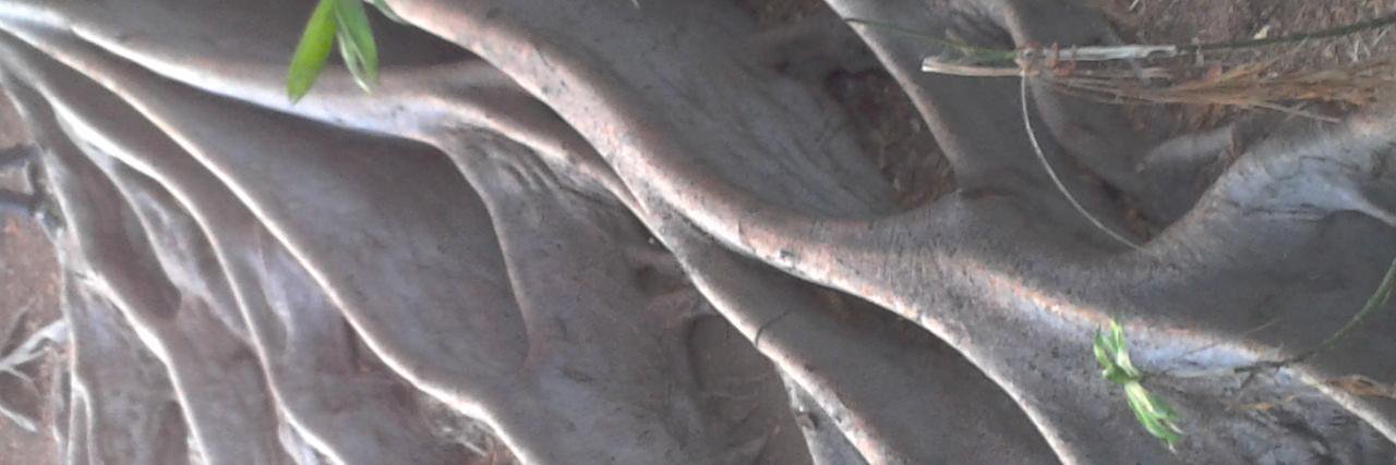vlynch5969's profile banner image