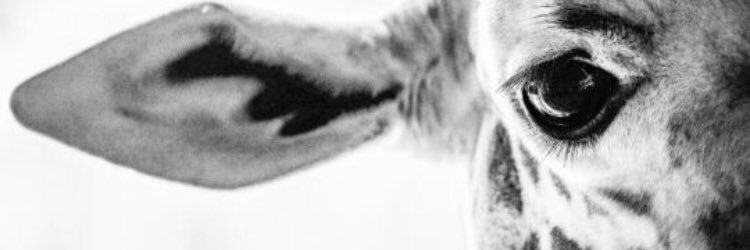 elohel27's profile banner image