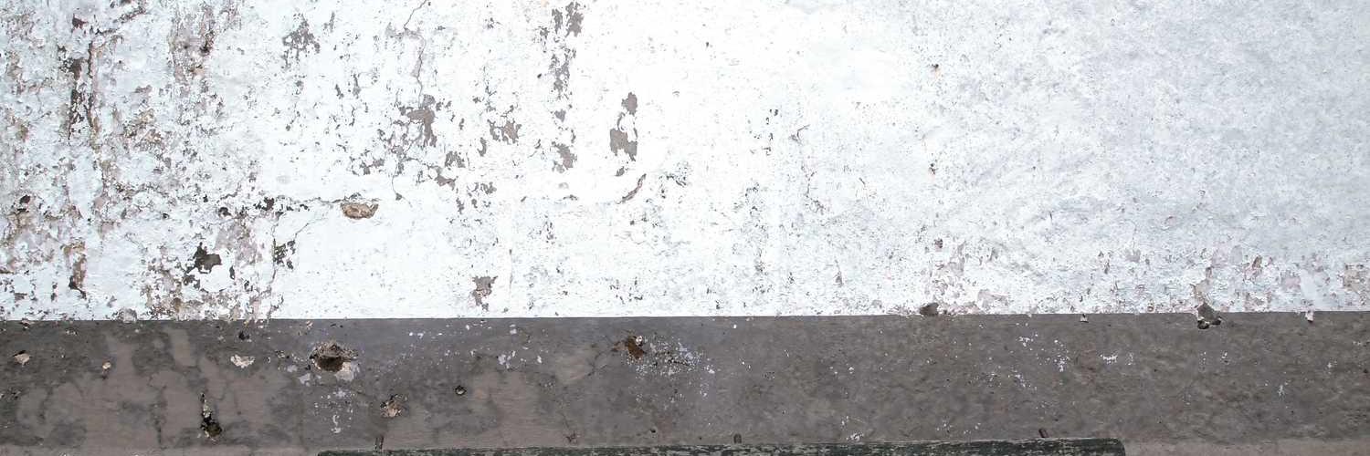 藏秦 banner