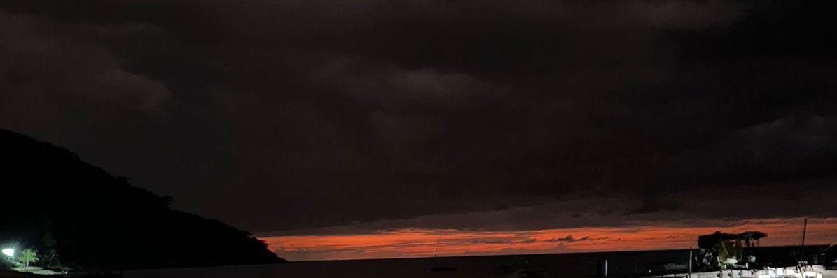 rociopeneka's profile banner image